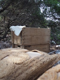 a wooden crate in the woods